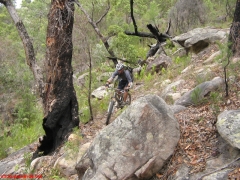 20070114-Coba 317 